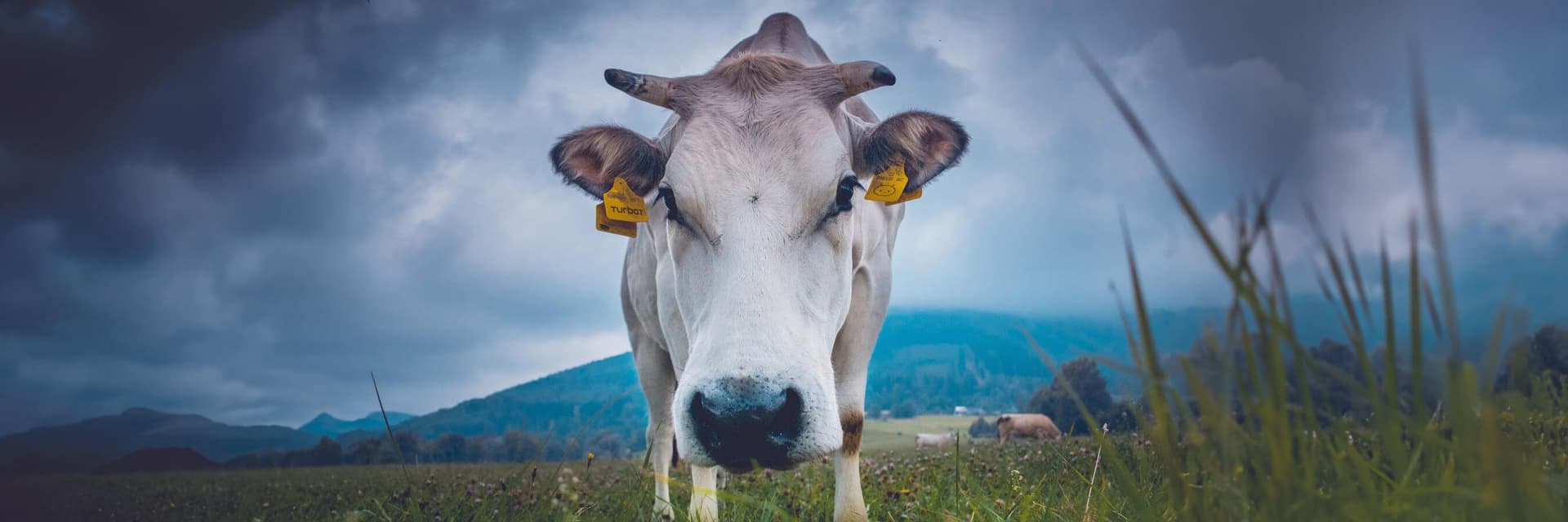 Powerful no-code/low-code tagging automation for AWS, Azure and GCP.