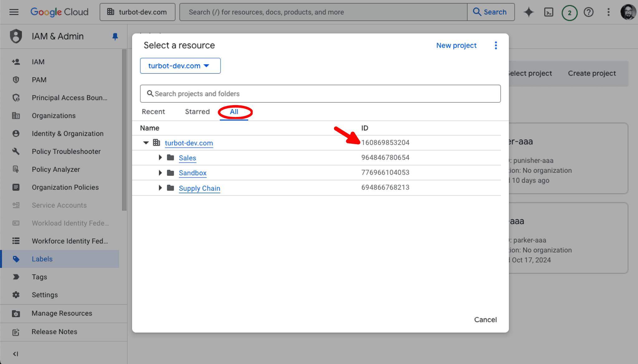 Get GCP Organization ID